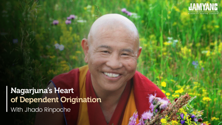 Nagarjuna's Heart of Dependent Origination with Jhado Rinpoche (2024)