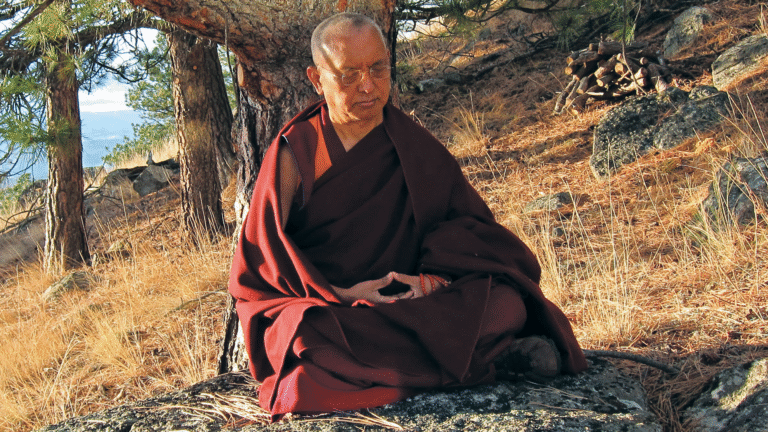 Meditation