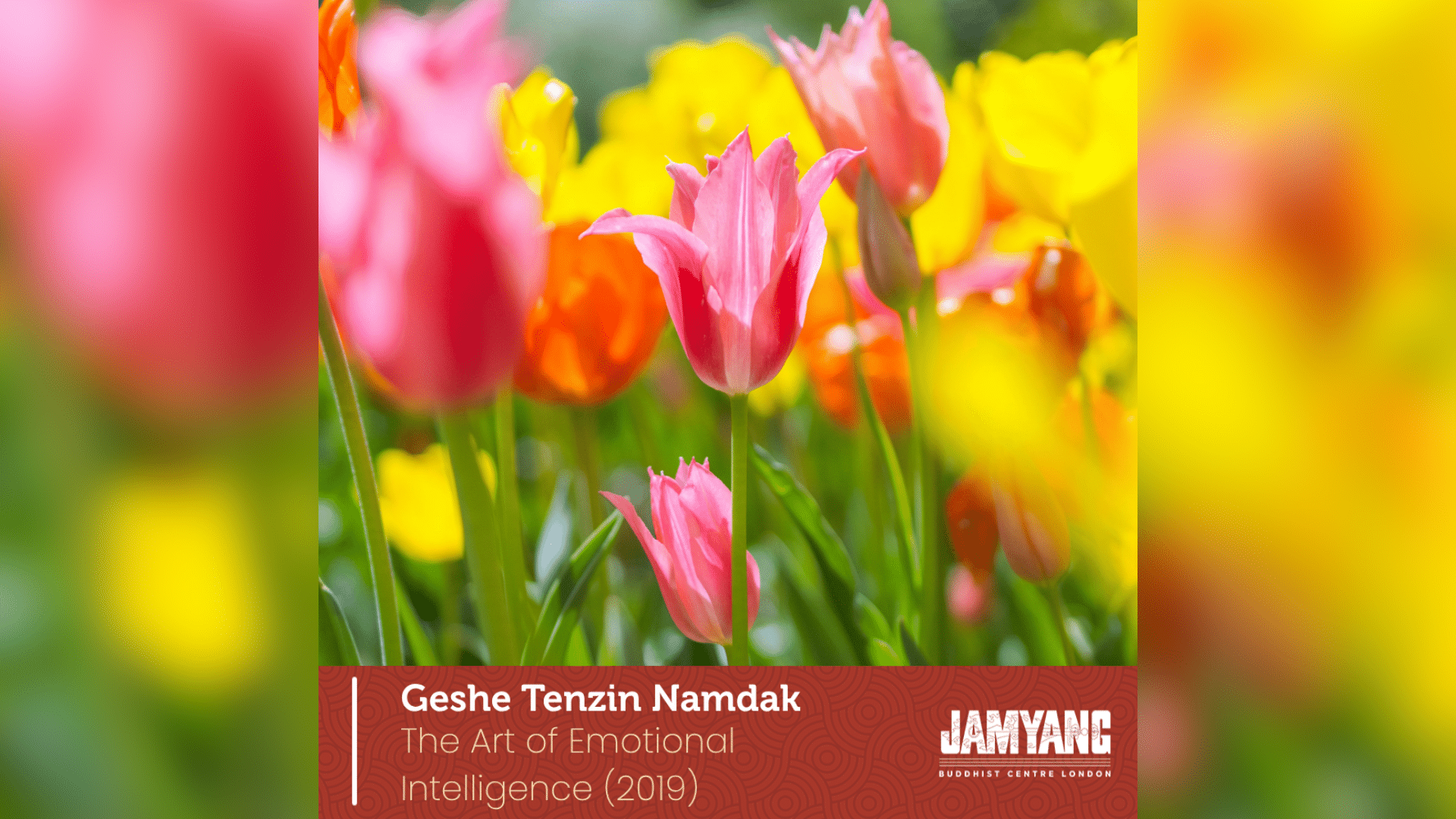 The art of Emotional Intelligence - Session 1